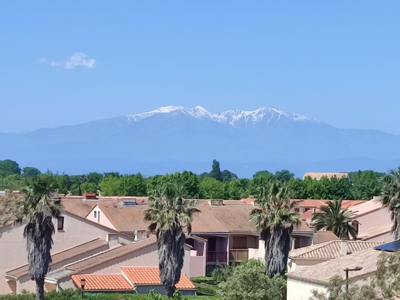 Image_, Appartement, Saint-Cyprien, ref :EQEQ-D60-LYI
