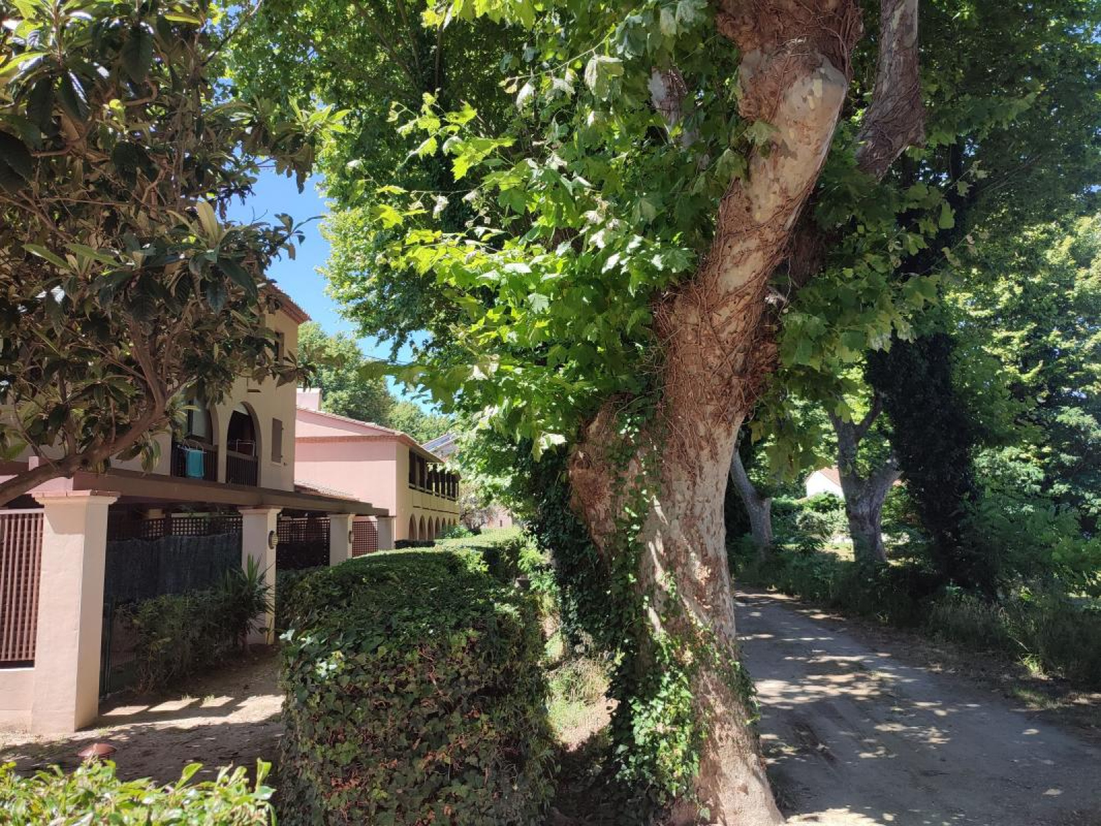 Image_, Appartement, Saint-Cyprien, ref :DP3I-O0Y-JJR