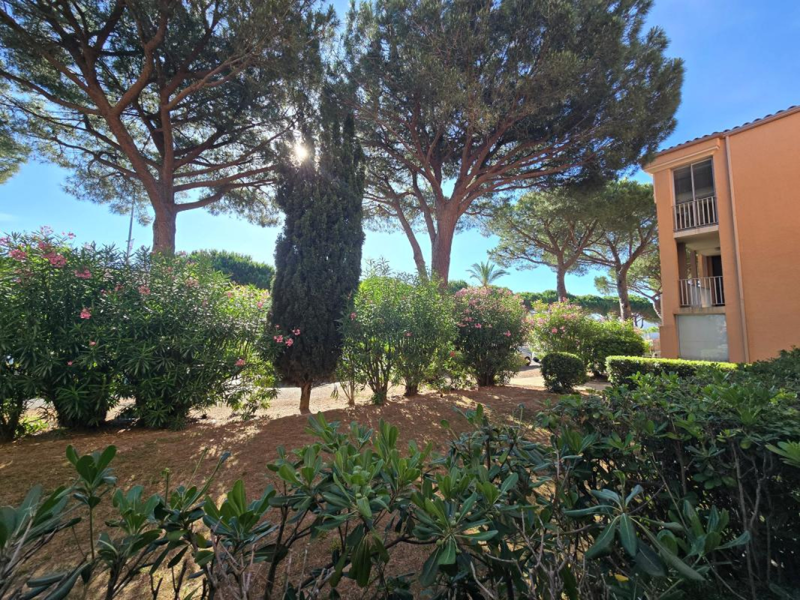 Image_, Appartement, Saint-Cyprien, ref :0JU1-4K1-CXQ
