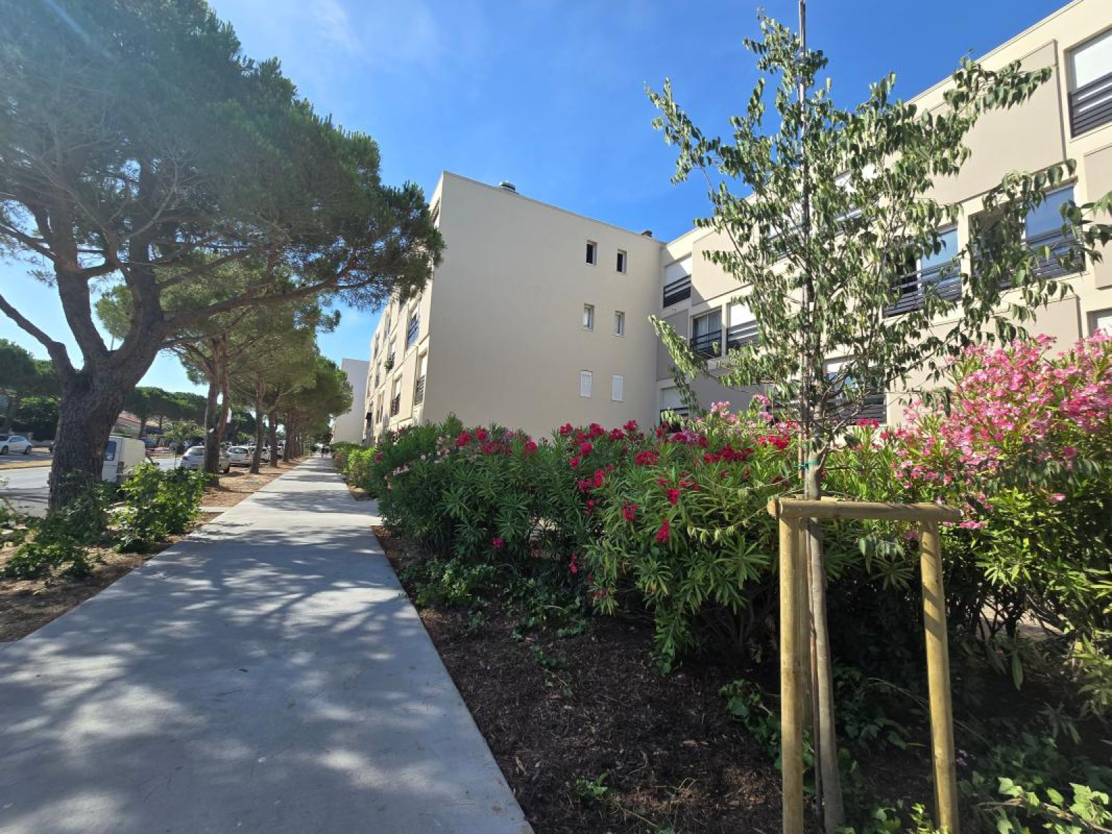 Image_, Appartement, Saint-Cyprien, ref :O4FH-440-GXK