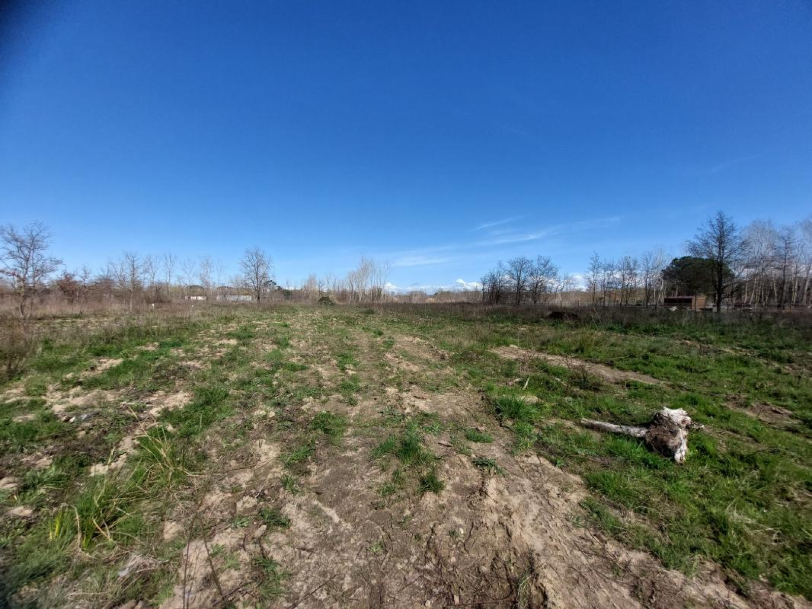 Image_, Terrain, Argelès-sur-Mer, ref :ERW9-AF7-FCF