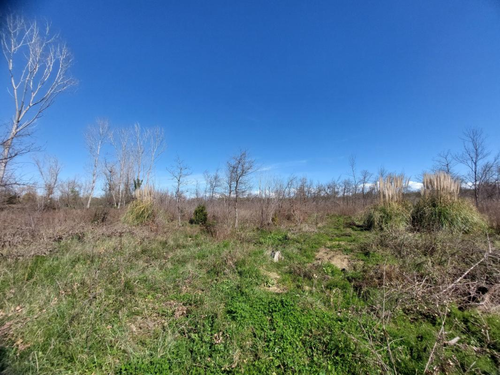 Image_, Terrain, Argelès-sur-Mer, ref :ERW9-AF7-FCF
