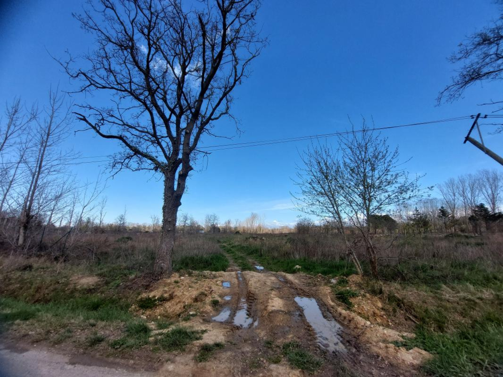 Image_, Terrain, Argelès-sur-Mer, ref :ERW9-AF7-FCF