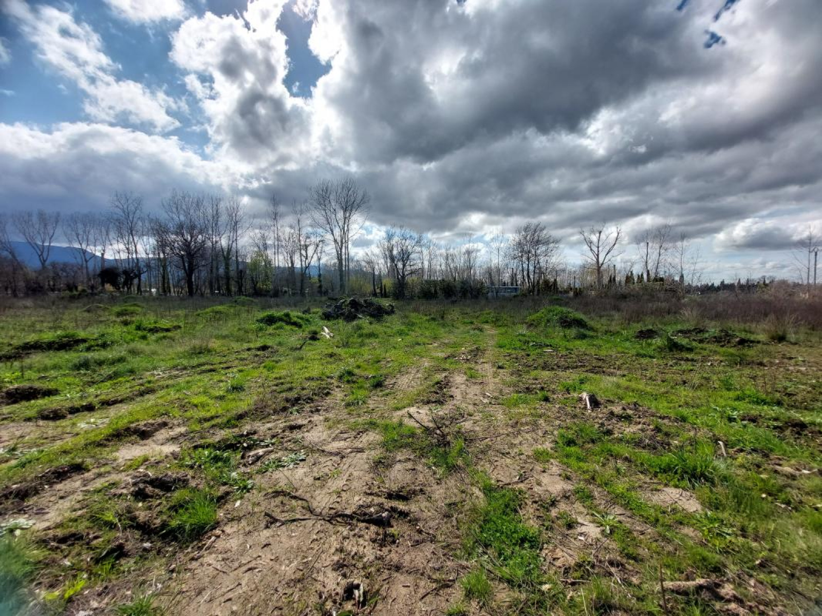 Image_, Terrain, Argelès-sur-Mer, ref :ERW9-AF7-FCF