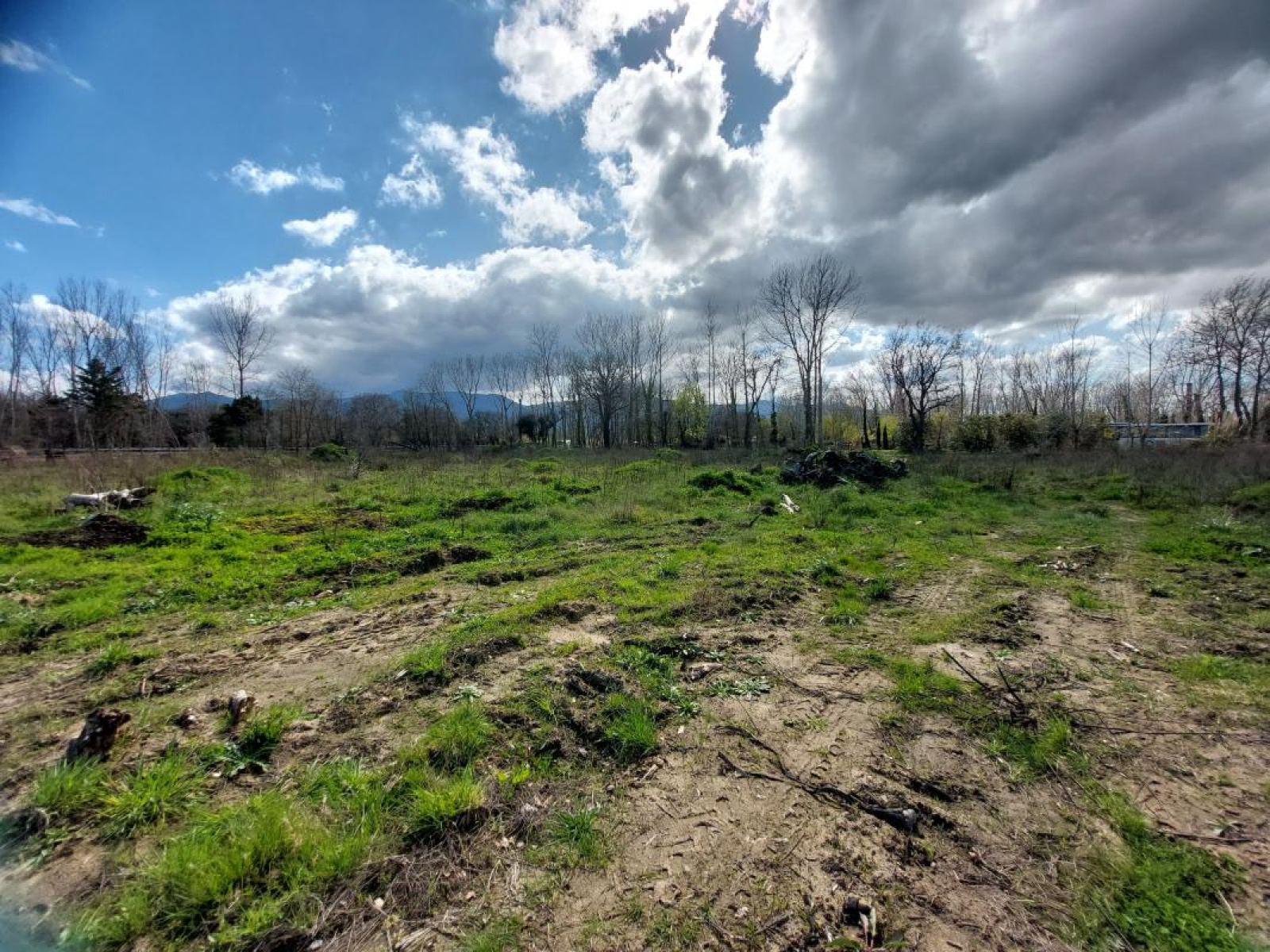 Image_, Terrain, Argelès-sur-Mer, ref :ERW9-AF7-FCF