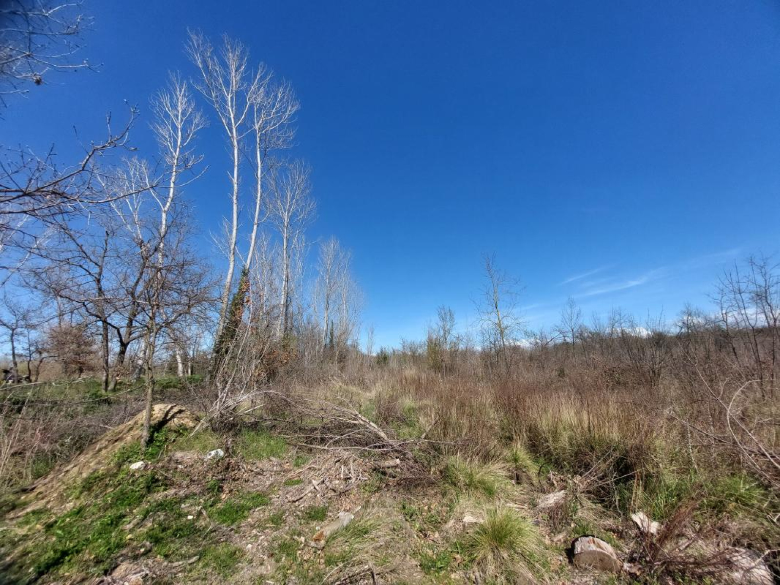 Image_, Terrain, Argelès-sur-Mer, ref :ERW9-AF7-FCF