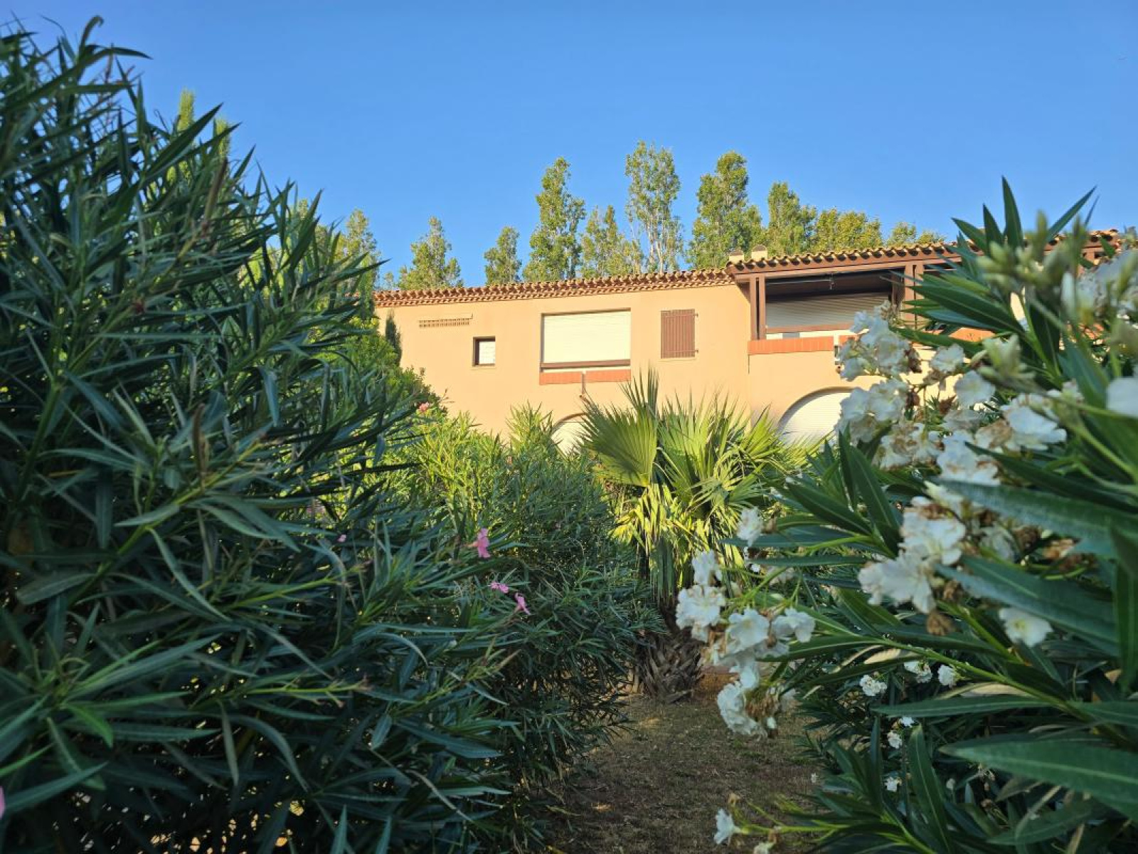 Image_, Appartement, Saint-Cyprien, ref :LFCM-M1W-RA9