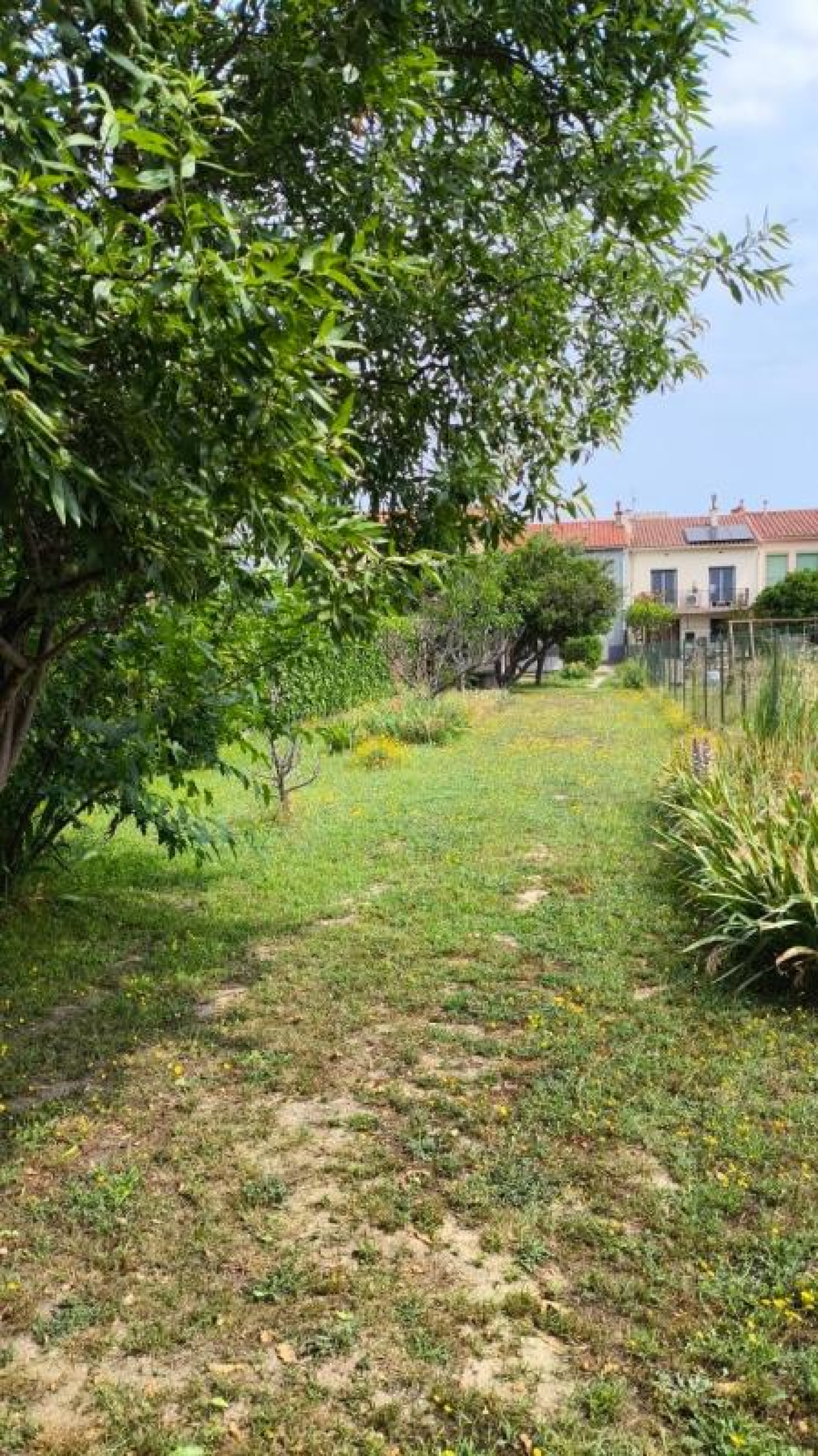 Image_, Maison, Bompas, ref :PAMX-NKP-KUW