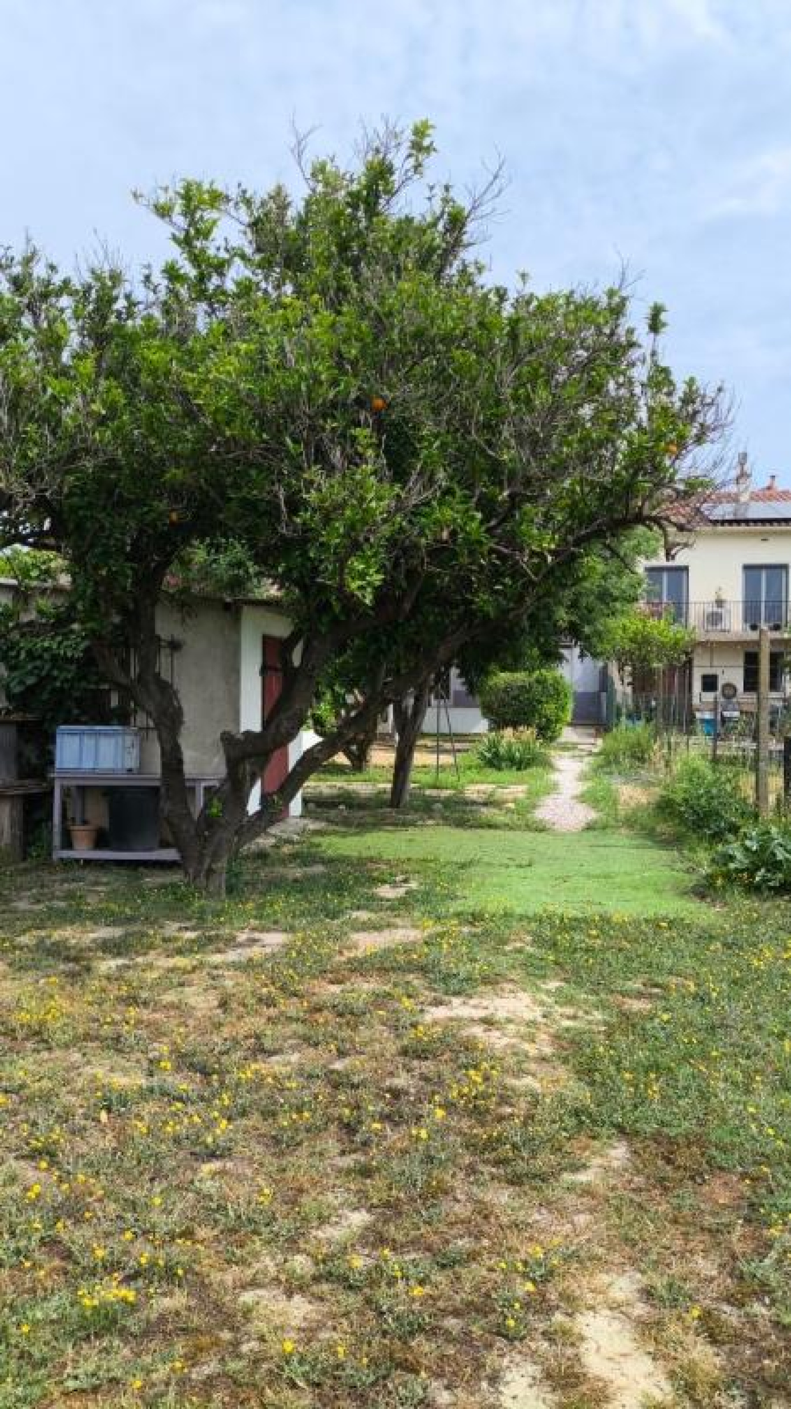 Image_, Maison, Bompas, ref :PAMX-NKP-KUW