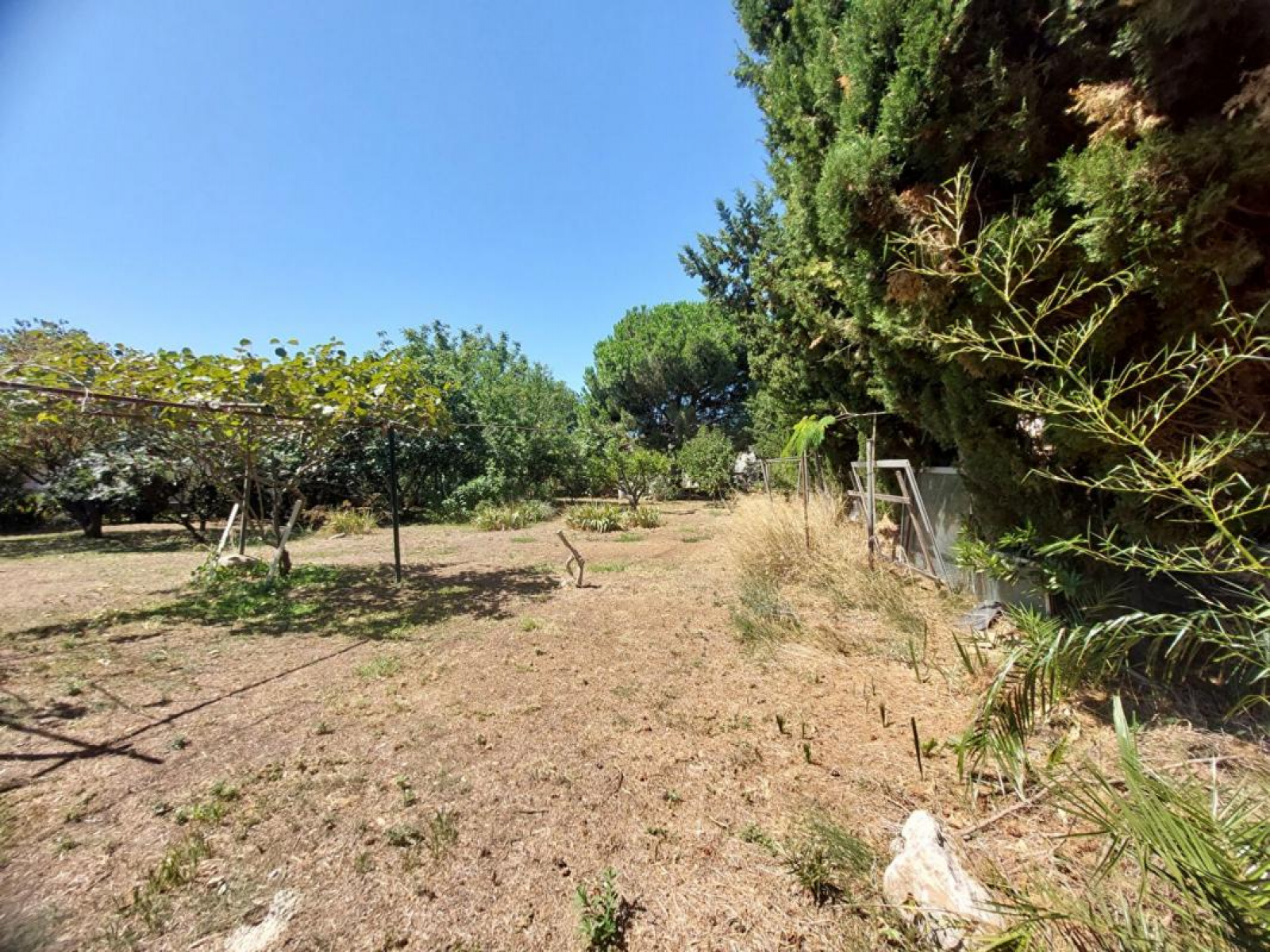 Image_, Terrain, Saint-Cyprien, ref :I8E5-I5M-5VZ